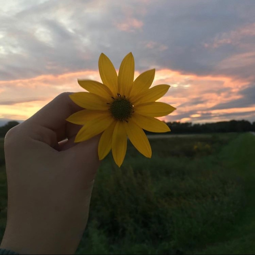 Meet your Posher, Ixel